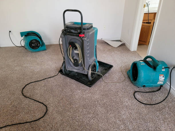 Best Water damage cleanup near me  in Luther, OK