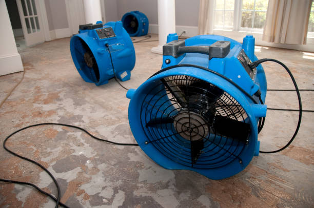 Best Professional water damage repair  in Luther, OK