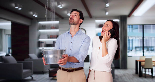 Best Mold removal after water damage  in Luther, OK